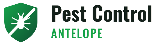 Antelope Pest Control